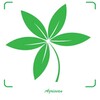 NEXTOP
